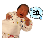 845566907
