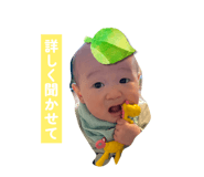 845566954