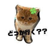 845566957