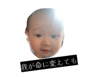845566958