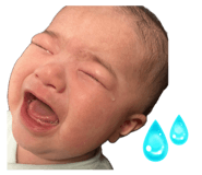 845567926