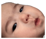 845567942