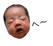 845568126