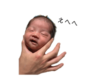 845568128