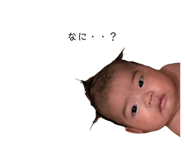 845568142