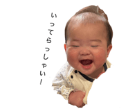 845568146