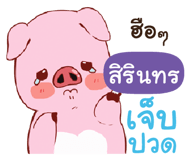 845571508