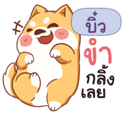 845572505