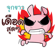 845574152