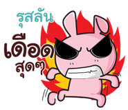 845575072