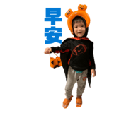 845576240