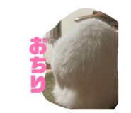 845577134