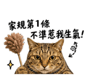845577353