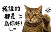 845577355