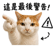 845577358