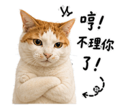 845577363