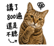 845577364