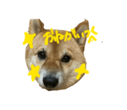 845577657