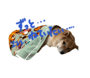 845577658