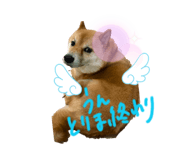 845577662