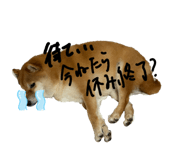 845577663