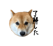 845577664