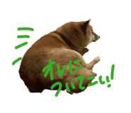 845577667