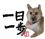845577669