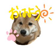 845577672