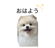 845577777