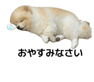 845577780