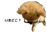 845577808