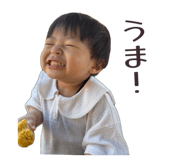 845578456