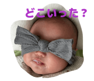 845578514