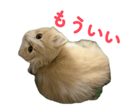845578578