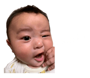 845578617