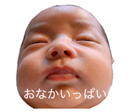 845578621