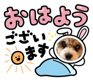 845578836