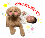 845578973