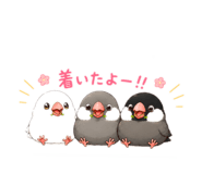 845579080