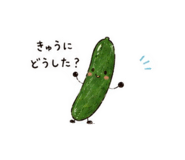 845579281
