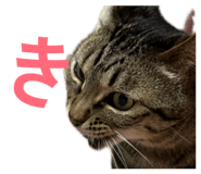 845579515