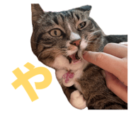 845579519