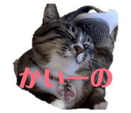 845579524