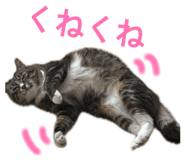845579526