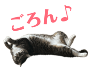 845579528