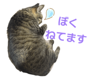 845579530