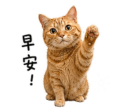 845580721