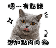 845580812