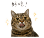 845581430